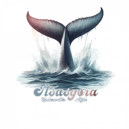 cola-ballena Itsasgora: Cola de ballena